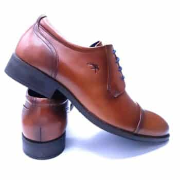 image00024 11 - Fluchos Heracles 8412 image00024 11 - Fluchos Heracles 8412