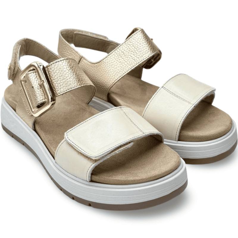 IMG 5499 - SANDALIA DE PLATAFORMA SEÑORA FLUCHOS F2166 | Comodidad elegante en cada paso sandalia_senora_plataforma_fluchos_f2166_oro